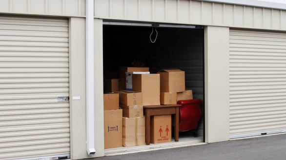 untitled design (13)