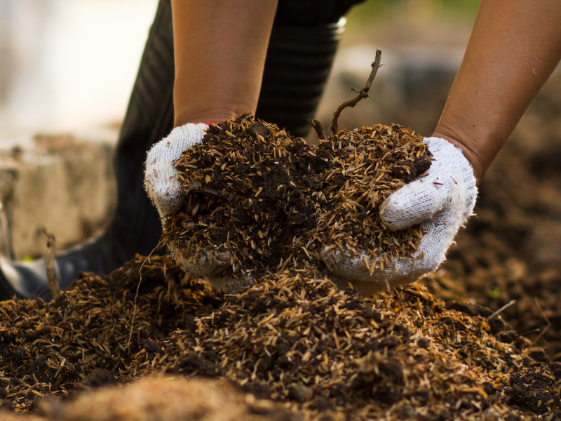 Garden waste and compost